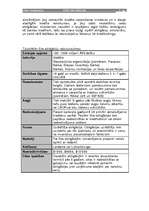 Referāts 'Eiro obligācijas', 5.