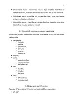 Konspekts 'Cenu veidošana būvniecībā', 17.