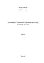 Referāts 'Mūzikas ietekme uz Eiropas tumšo medus biti', 1.