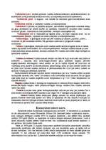 Referāts 'Vulkāni', 2.