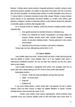 Referāts 'Uzturs - veselīga dzīvesveida galvenā pamatvērtība', 11.