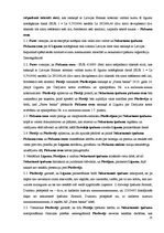 Prakses atskaite 'Civiltiesiskas prakses atskaite', 24.