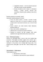 Biznesa plāns 'Mārketinga plāns', 5.