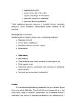 Biznesa plāns 'Mārketinga plāns', 6.