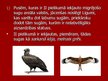 Prezentācija 'Bonnas konvencija', 9.
