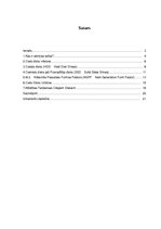 Referāts 'Atmiņas ierīces', 2.