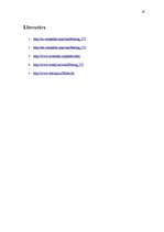 Referāts 'Boeing 757', 24.