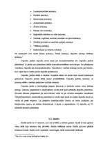 Konspekts 'Čehijas parlamenta vieta un loma varas dalīšanas sistēmā', 5.