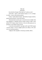 Referāts 'Kampaņa "Skaties ceļam acīs!" auditorijas uztverē', 2.