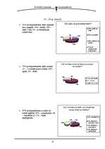 Referāts 'Etiķete teātrī', 19.