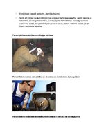 Konspekts 'Darba aizsardzība autoservisos', 5.