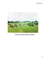 Referāts 'Fotogrāfiju vēsture Latvijā. 20.gadsimta 40. - 60.gadi', 27.