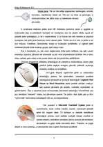 Referāts 'Peļu evolūcijas uzvaras gājiens', 3.