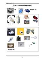 Referāts 'Peļu evolūcijas uzvaras gājiens', 5.