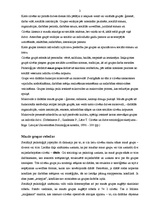 Referāts 'Mazo grupu problēmas sociālajā psiholoģijā. Mazo grupu psiholoģija', 2.