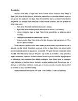 Diplomdarbs 'Rīgas Fondu biržas darbības analīze', 2.