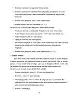 Diplomdarbs 'Rīgas Fondu biržas darbības analīze', 28.