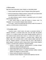 Diplomdarbs 'Rīgas Fondu biržas darbības analīze', 30.