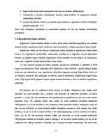 Diplomdarbs 'Rīgas Fondu biržas darbības analīze', 31.