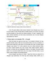Diplomdarbs 'Rīgas Fondu biržas darbības analīze', 48.