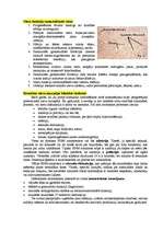 Konspekts 'Hroniskas nieru mazspējas ietekme uz cilvēka pamatvajadzībām', 8.