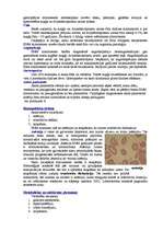 Konspekts 'Hroniskas nieru mazspējas ietekme uz cilvēka pamatvajadzībām', 11.