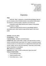 Biznesa plāns 'Organizācija ', 1.