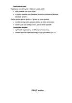 Biznesa plāns 'Organizācija ', 3.