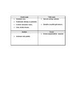 Biznesa plāns 'Organizācija ', 4.