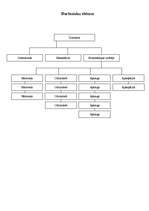 Biznesa plāns 'Organizācija ', 5.