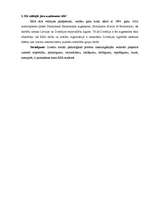 Referāts 'Etiķete - veiksmei un karjerai', 3.