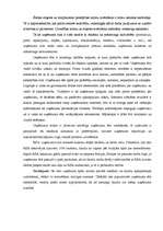 Referāts 'Etiķete - veiksmei un karjerai', 5.