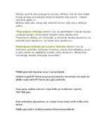 Eseja 'Inflācija', 1.