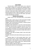 Konspekts 'Sociālie institūti. Ģimene. Reliģija', 2.