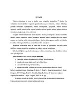 Referāts 'Vektoru reizinājumi', 5.