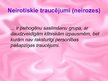 Prezentācija 'Neiroze', 2.