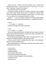 Konspekts 'Pedagoģiskā psiholoģija', 20.