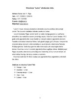 Referāts 'Viesnīcas "Laine" analīze', 7.