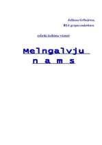 Referāts 'Melngalvju nams', 1.