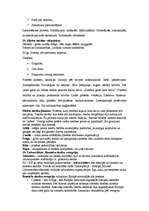 Konspekts 'Ārvalstu valsts un tiesību vēsture', 12.