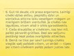 Prezentācija 'Laime un nelaime', 11.