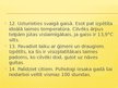 Prezentācija 'Laime un nelaime', 13.