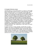 Konspekts 'Mana identitāte Kultūras kanona vērtībās un laikmetīgajā mākslā', 2.