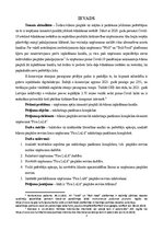 Referāts 'Ēdienu piegādes serviss kā nozīmīgs uzņēmuma “Pica LuLū”  mārketinga pasākumu ko', 3.