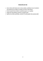 Referāts 'Ēdienu piegādes serviss kā nozīmīgs uzņēmuma “Pica LuLū”  mārketinga pasākumu ko', 22.