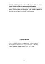 Referāts 'Uzņēmējdarbība - stratēģijas jēdziena padziļināts skaidrojums', 20.