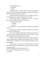 Referāts 'Latvijas tūrisma produkts un tā virzīšana starptautiskā tūrisma tirgū', 5.