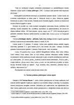 Referāts 'Lauku tūrisma uzņēmumu raksturojums Ludzas rajonā', 15.