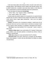 Referāts 'Lauku tūrisma uzņēmumu raksturojums Ludzas rajonā', 19.