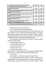 Diplomdarbs 'SIA "X" debitoru parādu uzskaite, kontrole un analīze', 42.